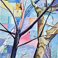 Patchwork Trees