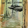 Boundary Waters Island Campsite