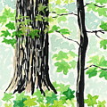 Nerstrand Maples